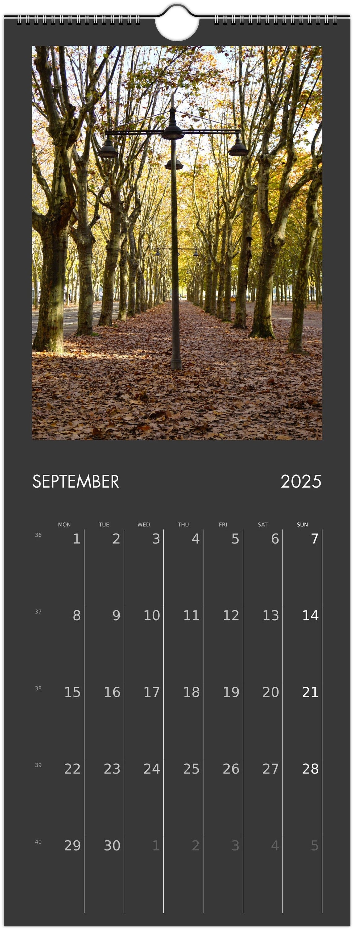 Wall calendar - 2025 in 12 places.